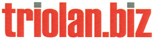 triolan.biz