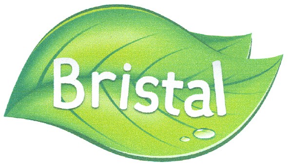 bristal
