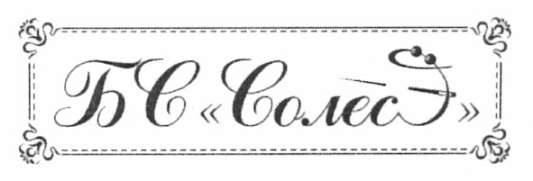 бс солес