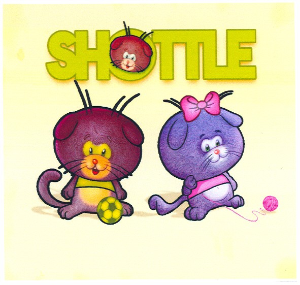 shottle