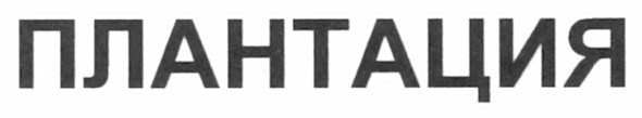 плантация
