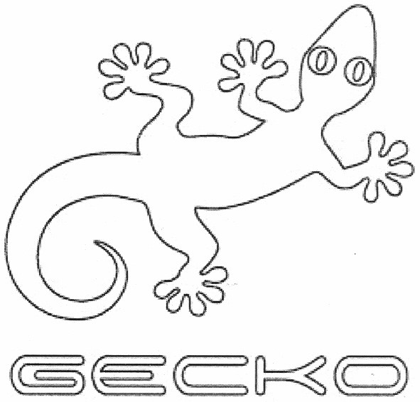 gecko