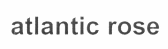 atlantic rose