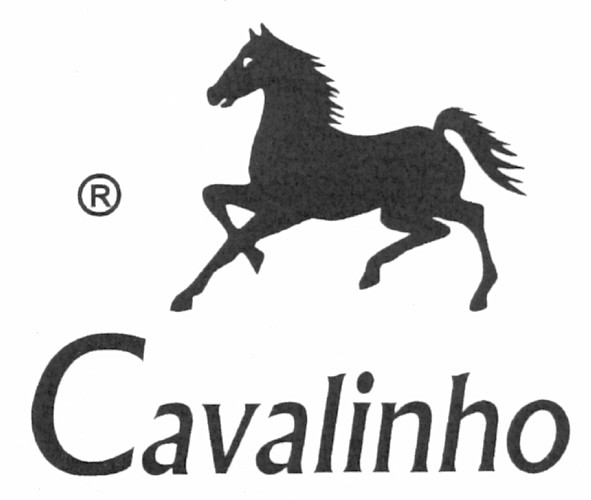 cavalinho