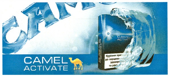 camel activate