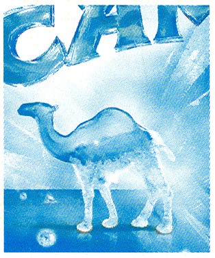 camel