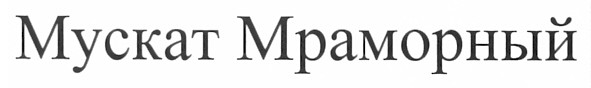 мускат мраморный