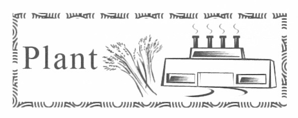 plant
