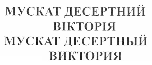 мускат десертний вікторія