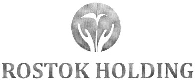 rostok holding