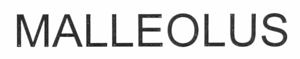 malleolus
