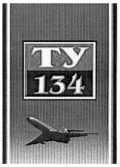 ty 134