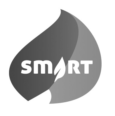 smart
