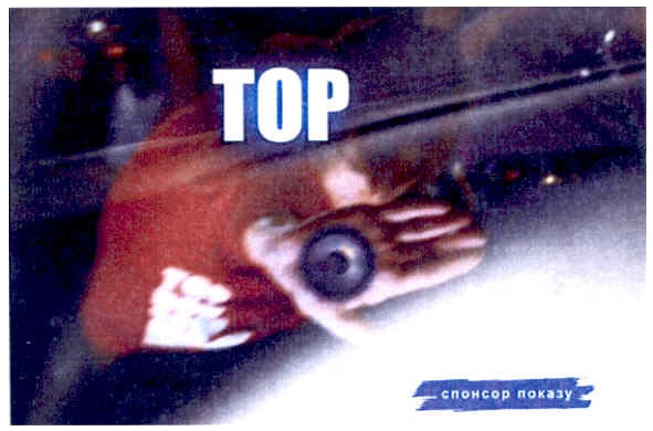 спонсор показу