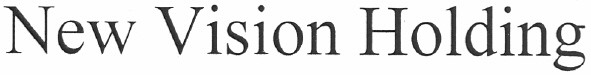 new vision holding