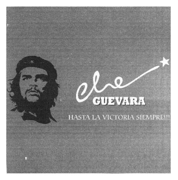 hasta la victoria siempre!!!