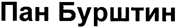 пан бурштин