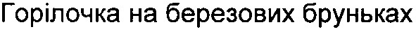 горілочка на березових бруньках