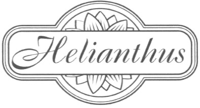 helianthus