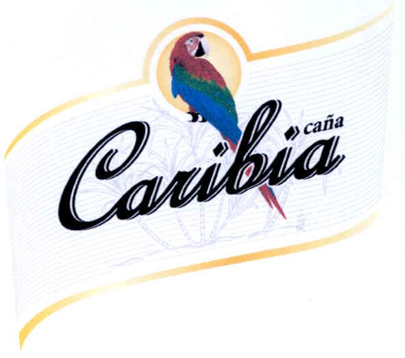 cana caribia