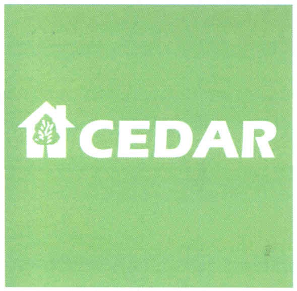 cedar
