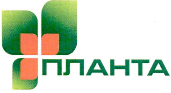 планта