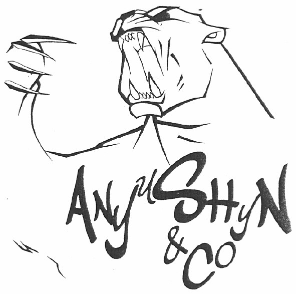 anyushyn&co