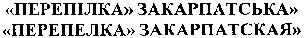 перепілка закарпатська