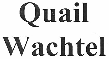wachtel