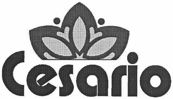 cesario