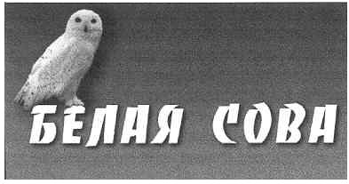белая сова