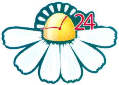 24