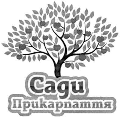 сади прикарпаття