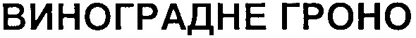виноградне гроно