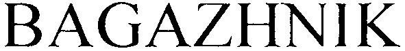 bagazhnik