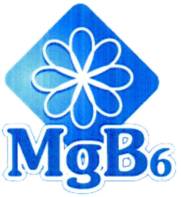 mgb6