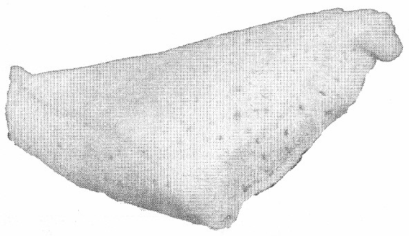 Фігуративна марка № m201212888