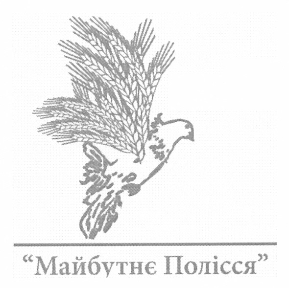 майбутнє полісся
