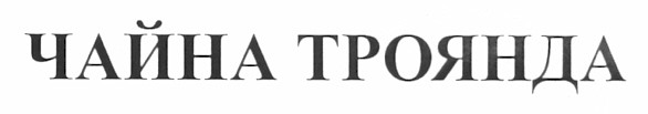 чайна троянда