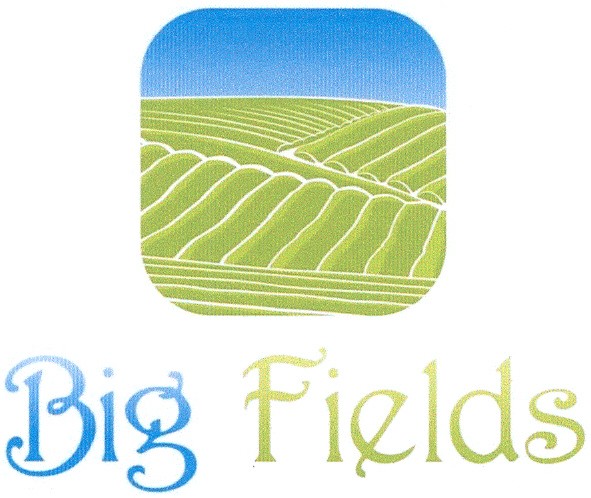 big fields