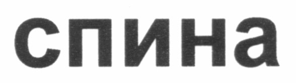 спина