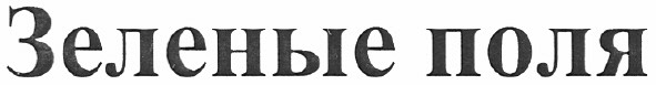 зеленые поля