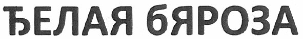 белая бяроза