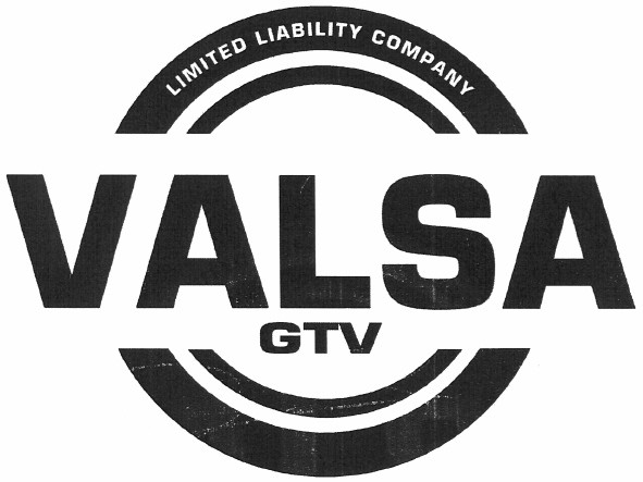 limited liability company