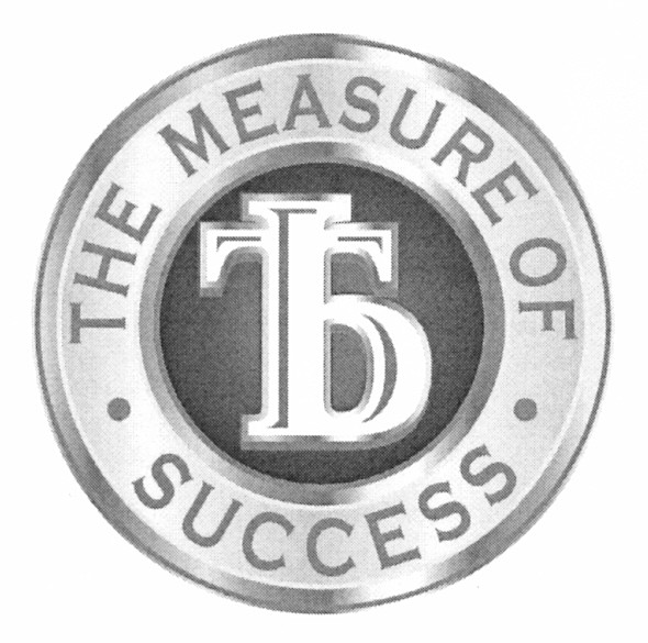 the measure of success