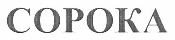 сорока