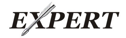 expert