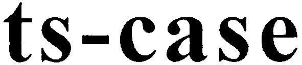 ts-case