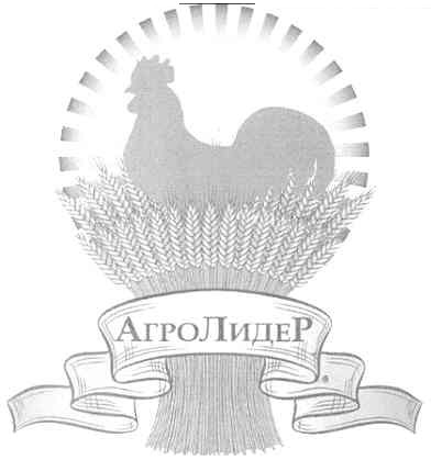 аголидер