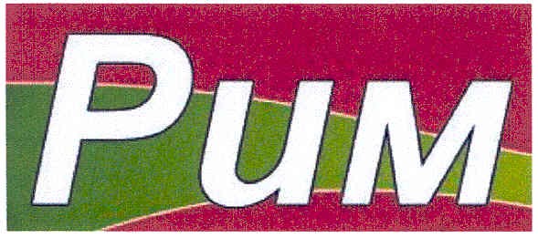 рим